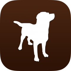 Hunde - eys-apps.de
